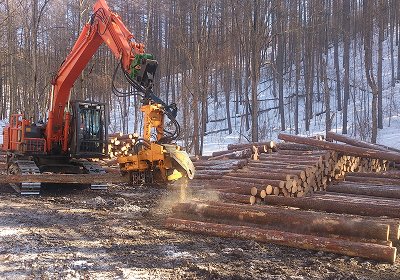 立木・丸太の調達から始まる木構造