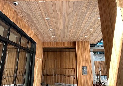 木質化への挑戦