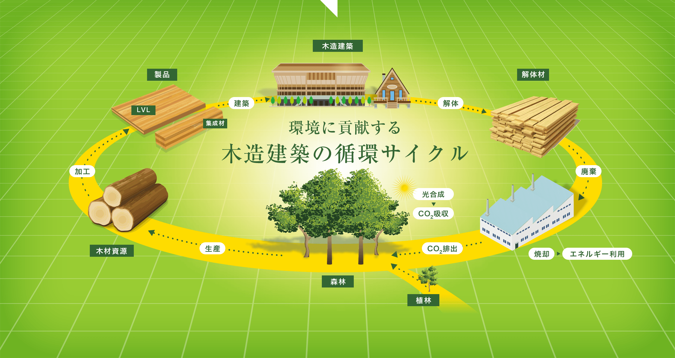 環境に貢献する木(zao)造建()築の循環サイクル